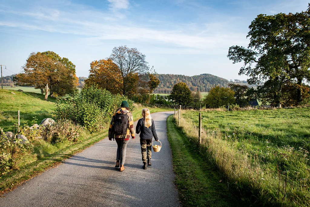 Ta bussen till och från vandringen!
