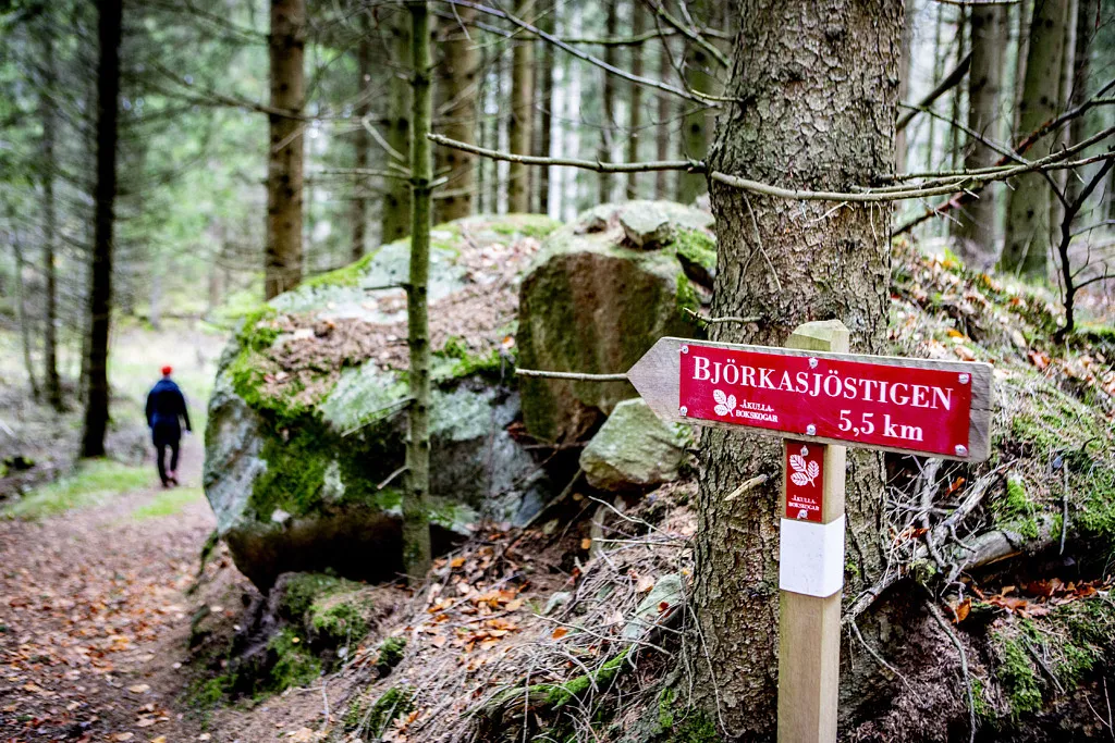 björkasjöstigen