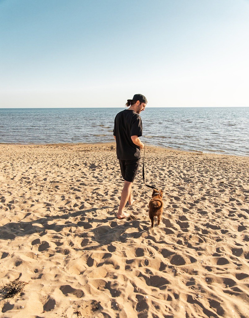 en man går med en hundvalp i koppel på stranden