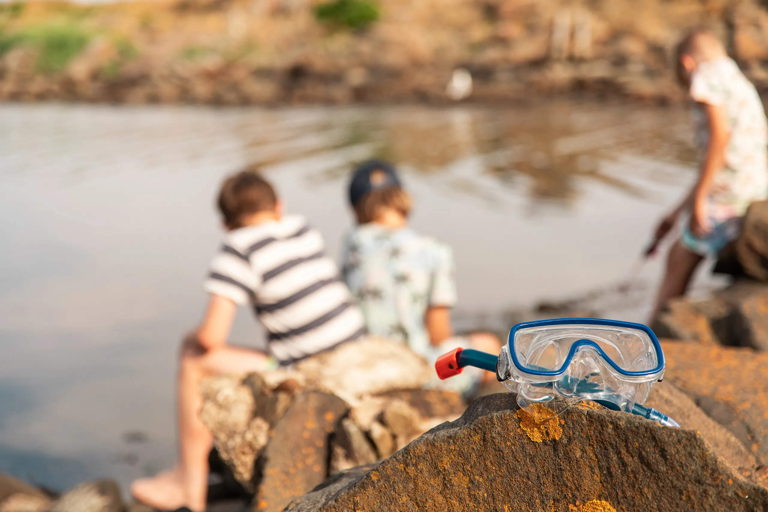 cyklop krabbor näset