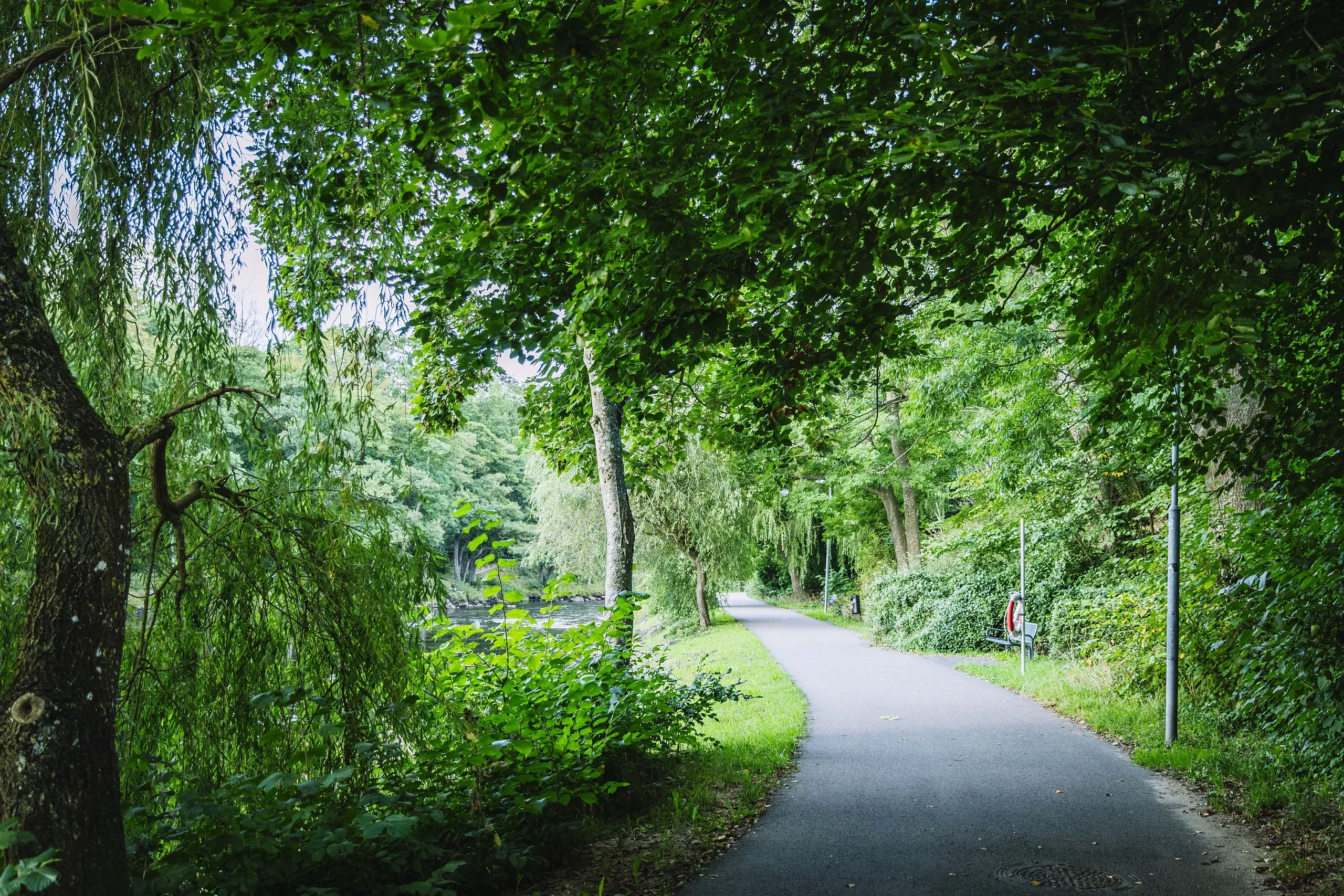doktorspromenaden laxpromenaden