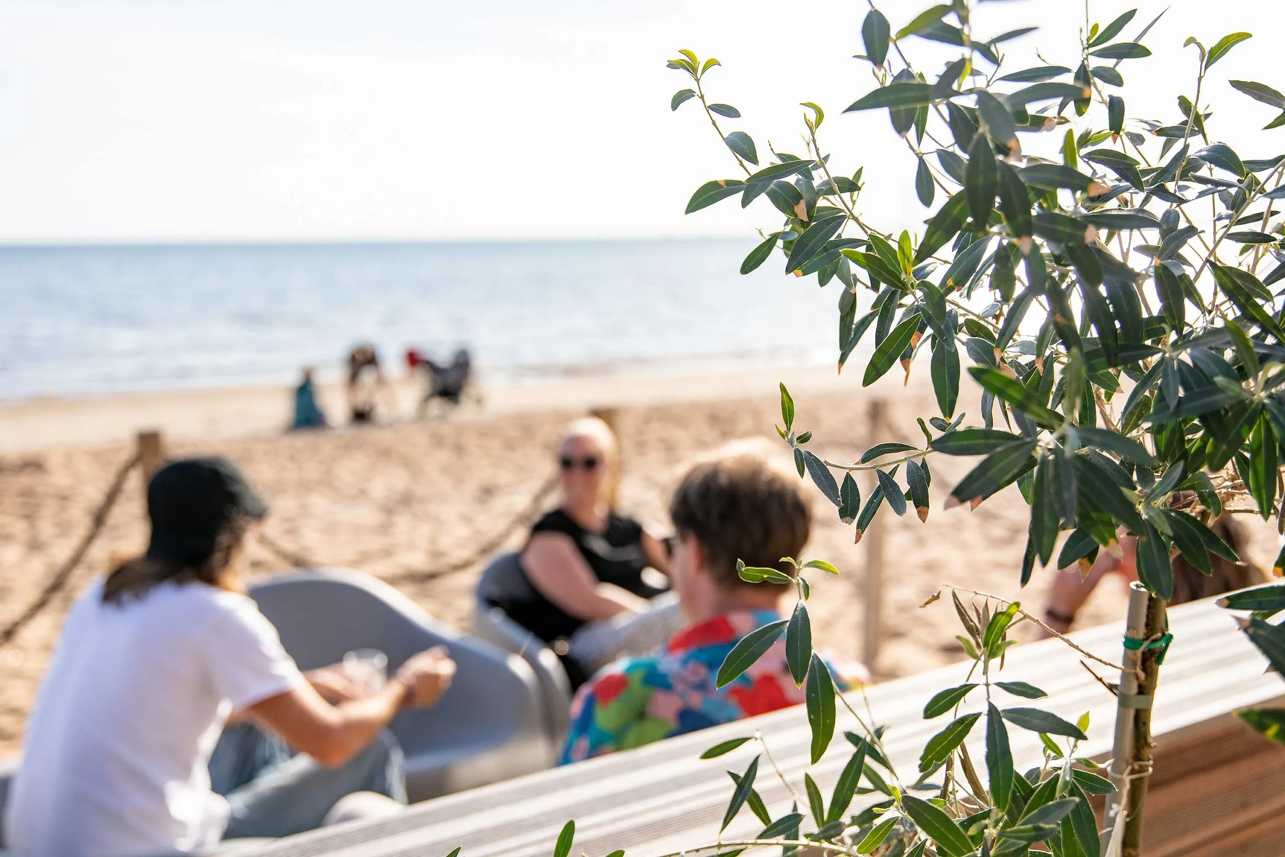 ocean skrea strand uteservering