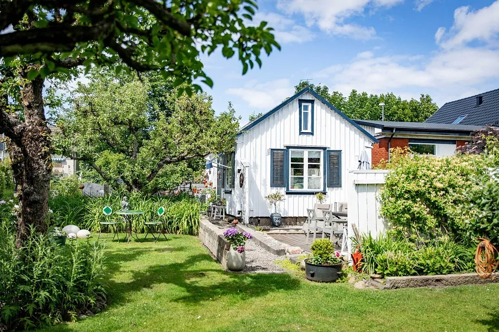 B&amp;B Bland ormbunkar och rosor