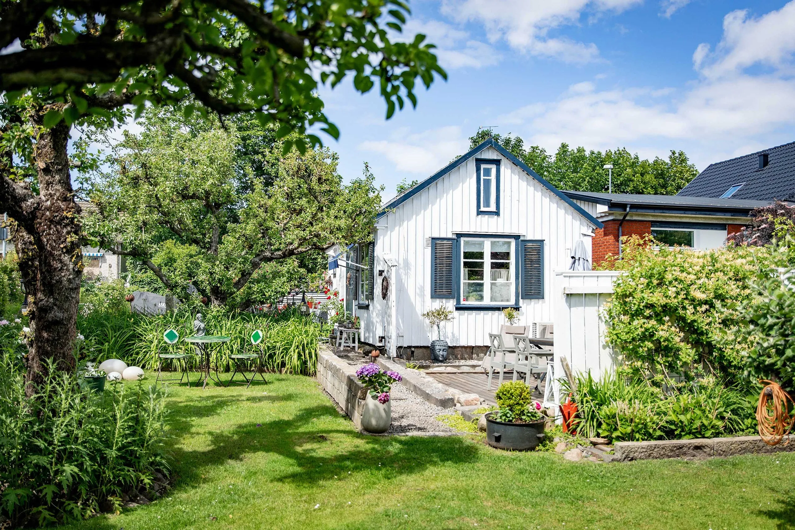 bed & breakfast rosor och ormbunkar