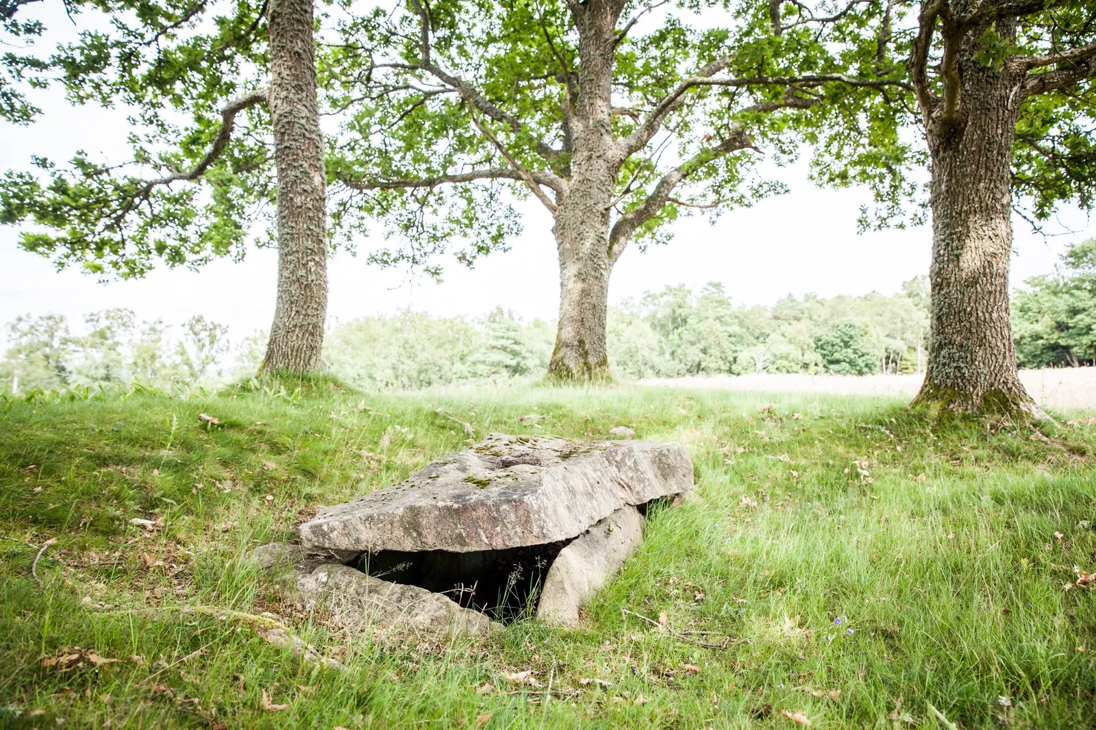 En fornlämning av stenar.