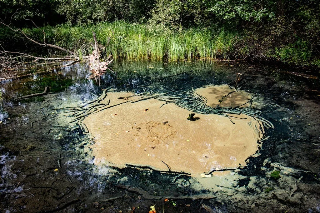 En källa, där en sandfärgad yta i botten är i ständig rörelse då det bubblar upp vatten.