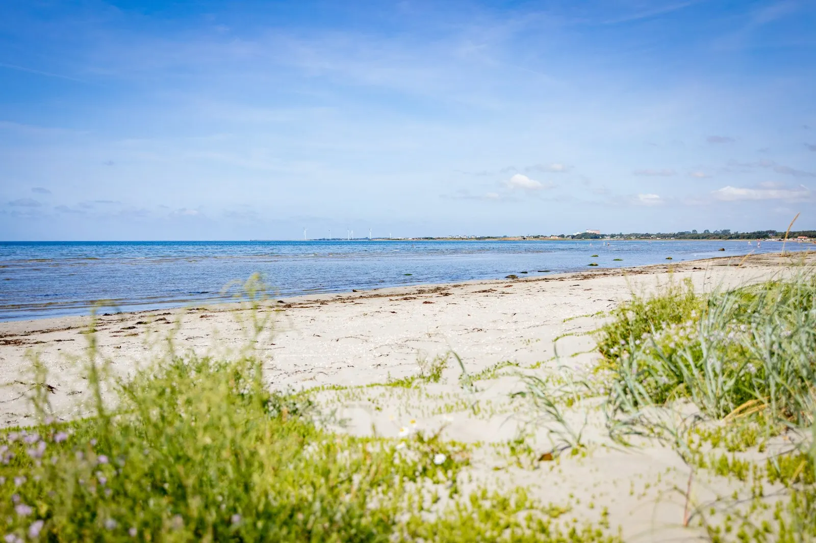 En vidsträckt sandstrand.