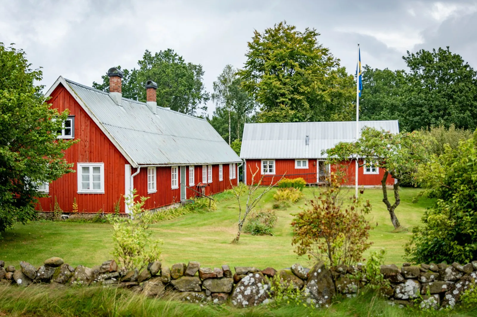 En röd hallandslänga i vinkel.