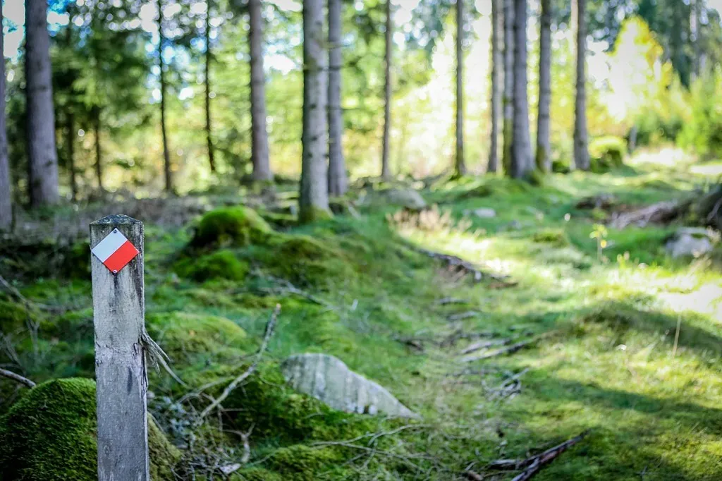 Wildnispfad (Ödemarksstigen)