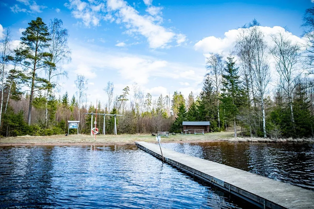 linjevik fegen