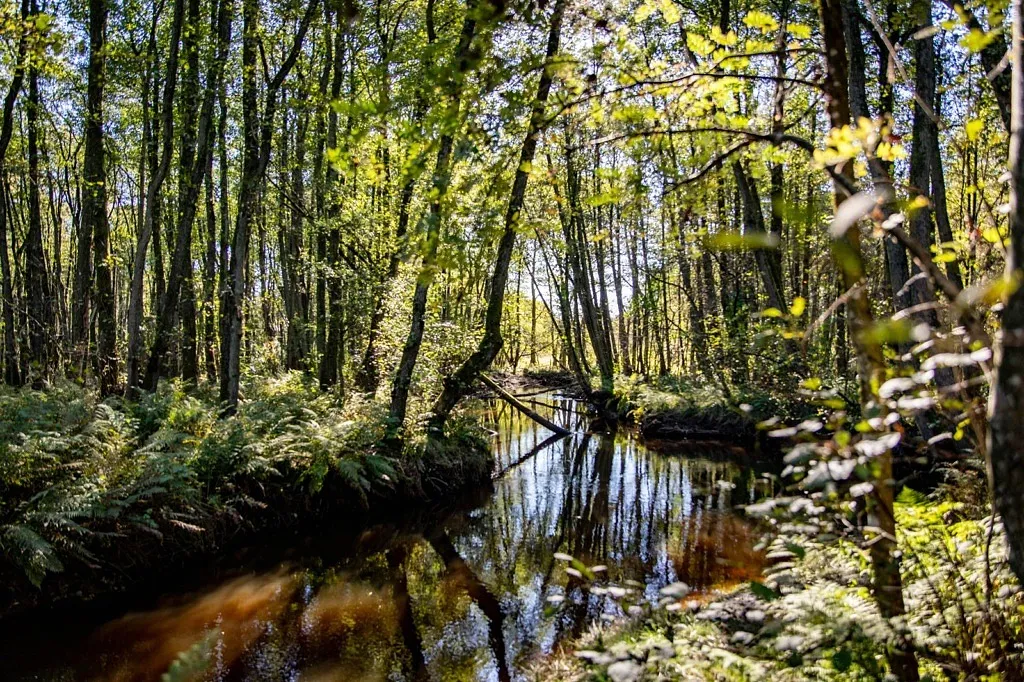 Vinbergs Naturreservat