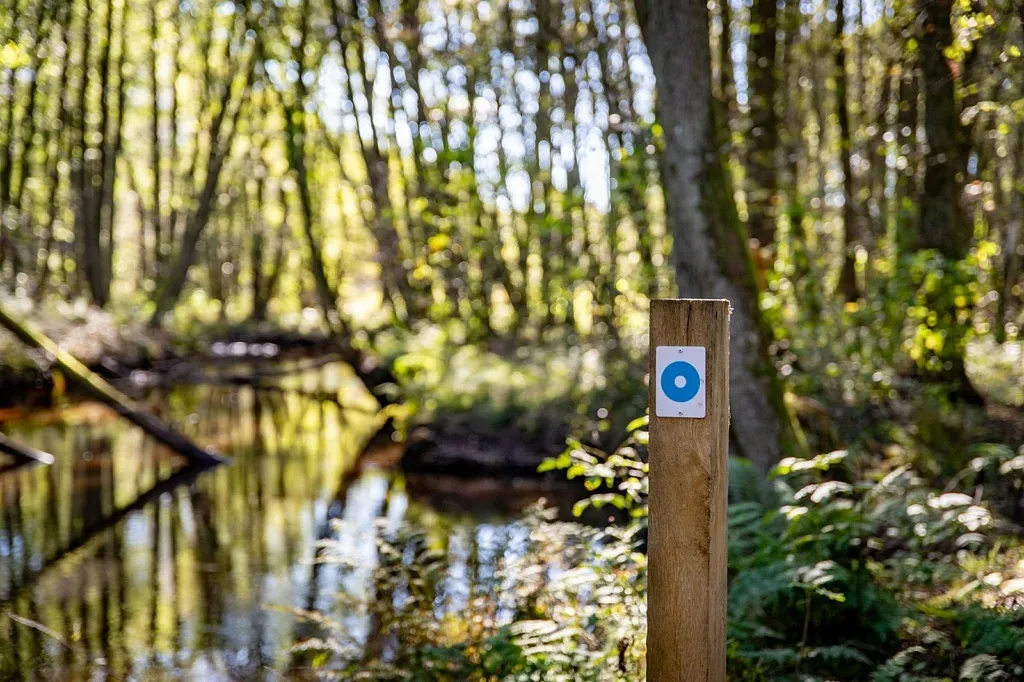 vinbergs naturreservat