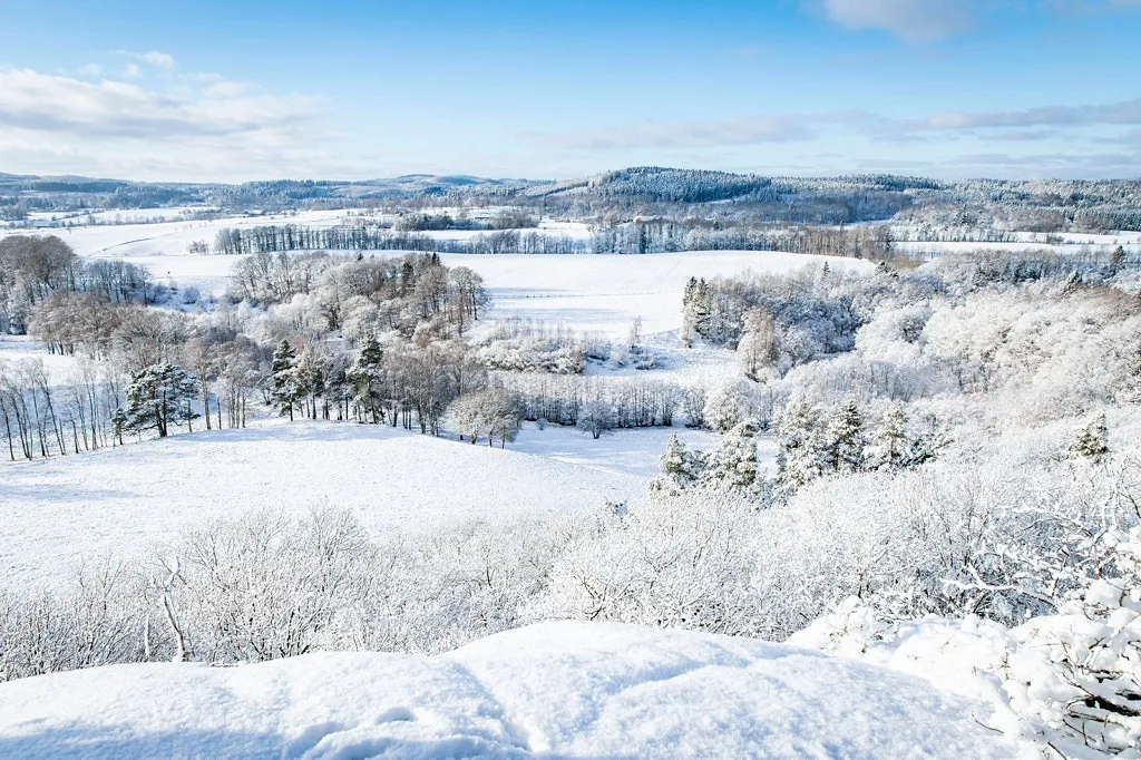 Gifta sig i Falkenbergs natur - I vinterskrud