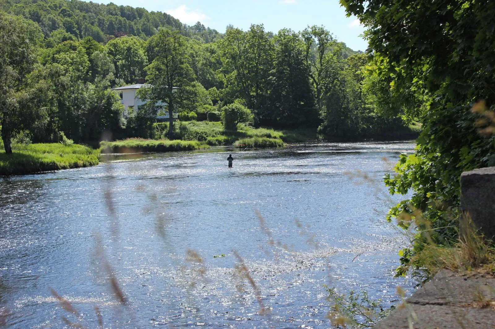 flugfiskare vessigebro