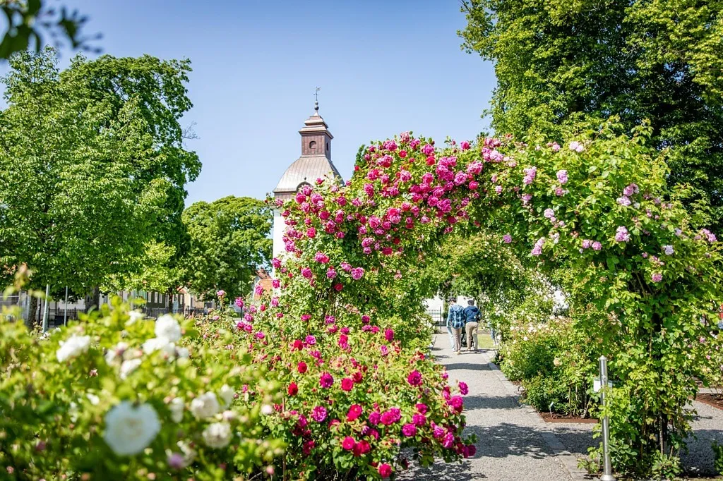 Laurentiiparken med Gåsatorget