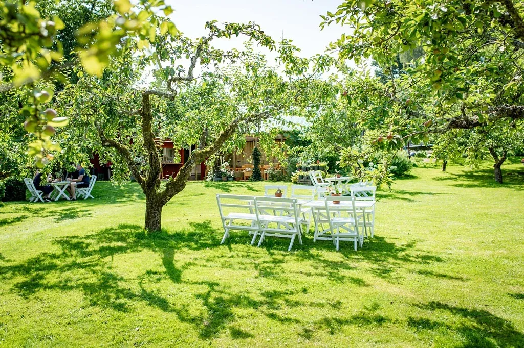 En trädgård med vita cafémöbler.