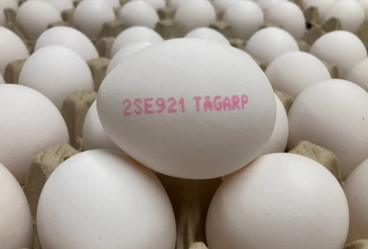 ägg tågarp