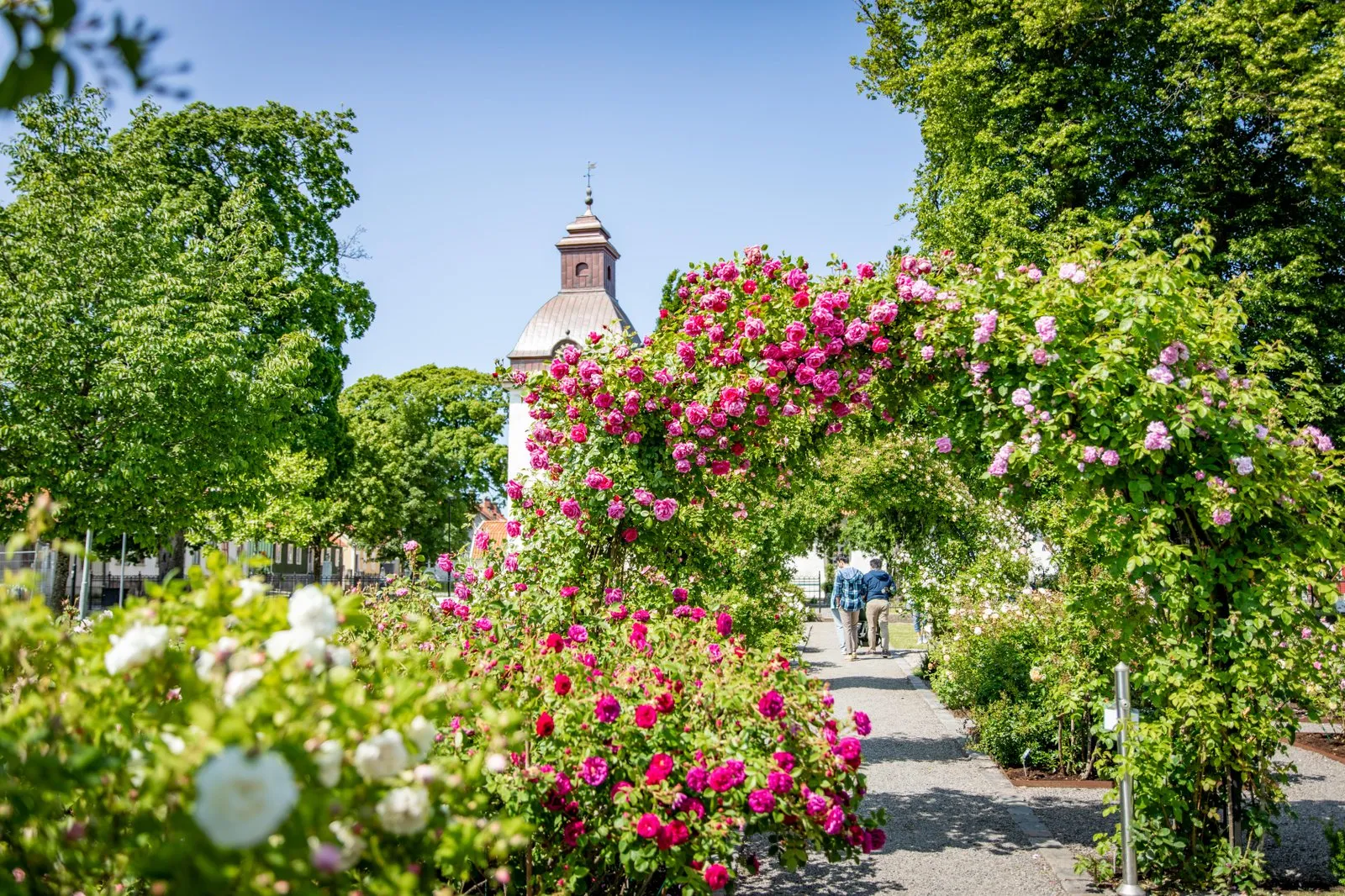 Bågar med rosor, en kyrka i bakgrunden.