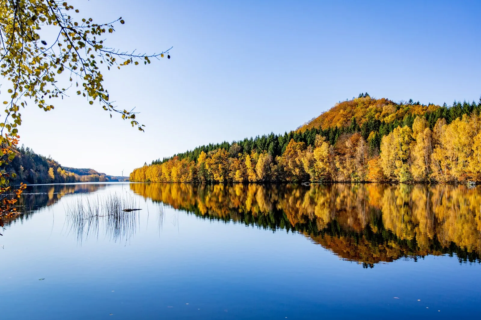 vackraste väg höst