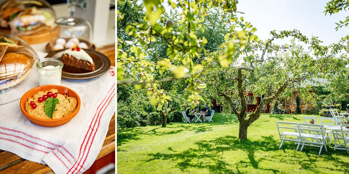 collage med en bild av fika på en café-disk och en bild från en sommargrön trädgård med cafémöbler.