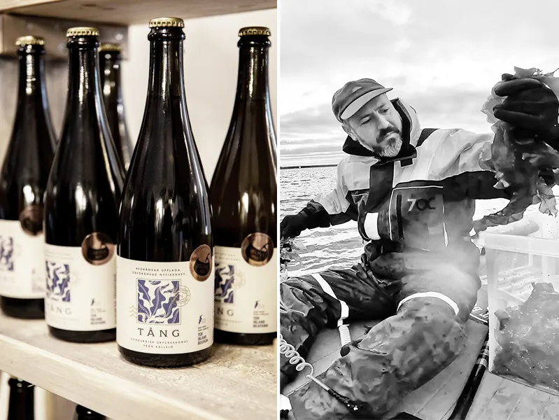 collage, en bild med flaskor i en hylla samt en bild på en man som sitter i en båt och håller upp en tångruska.