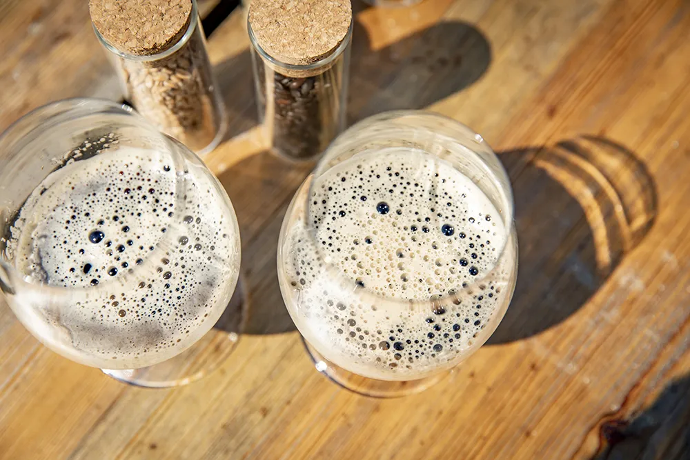 Det skummar i falkenbergarnas ådror