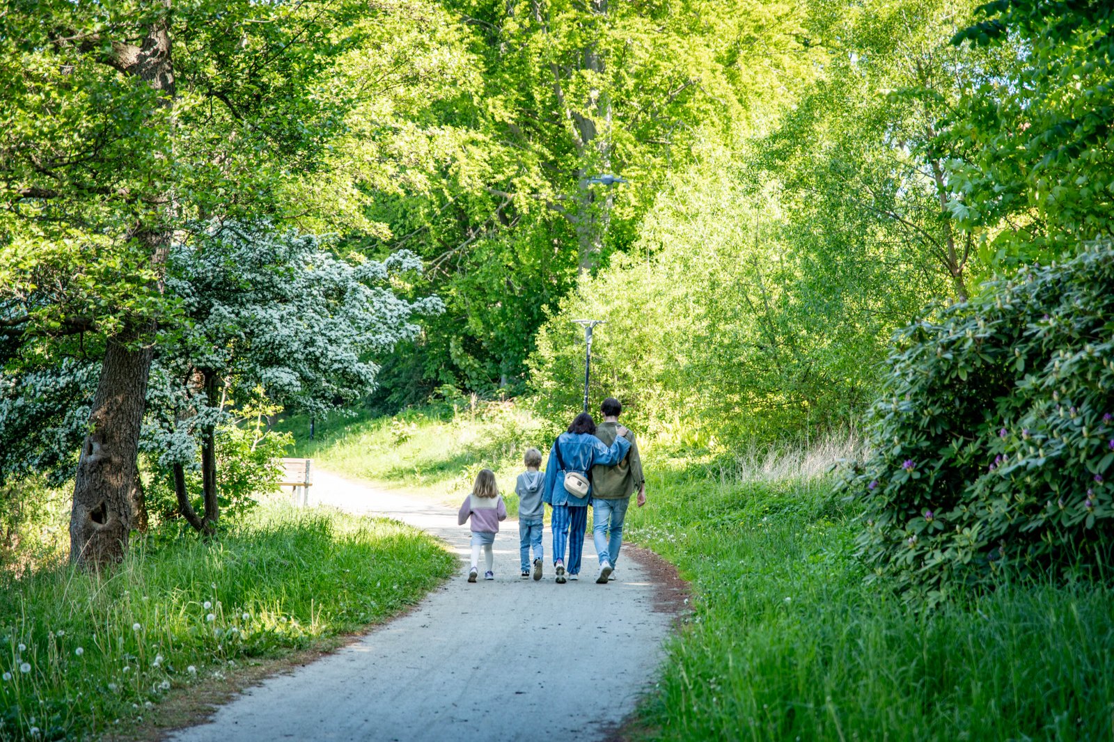 En familj går på en grusväg mellan grönska