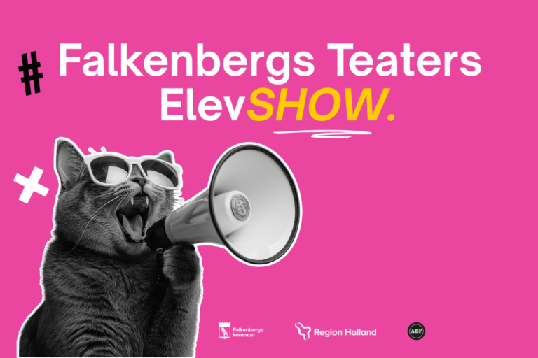 Falkenbergs Teaters Elevshow