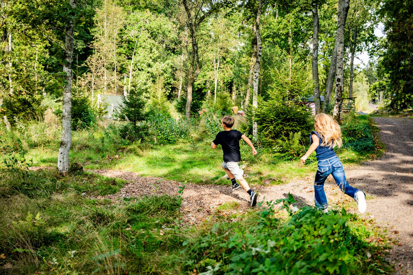 Barn som springer i en skog.