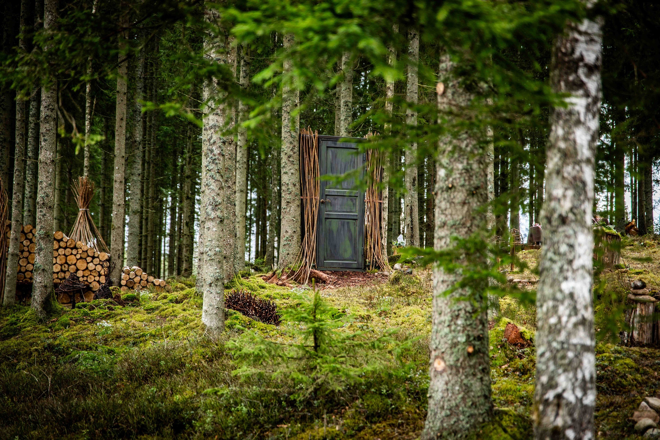 en dörr står mellan två träd i en vacker skogsglänta