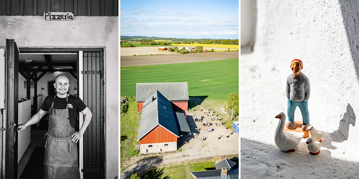 Collage med tre bilder, en på en man i en dörröppning, en flygbild över en gård, en närbild på en liten Nils holgerssons-figur.