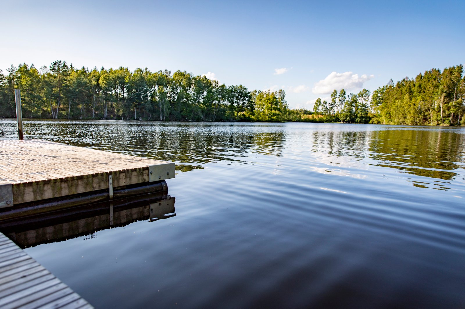 Brygga i sjö.