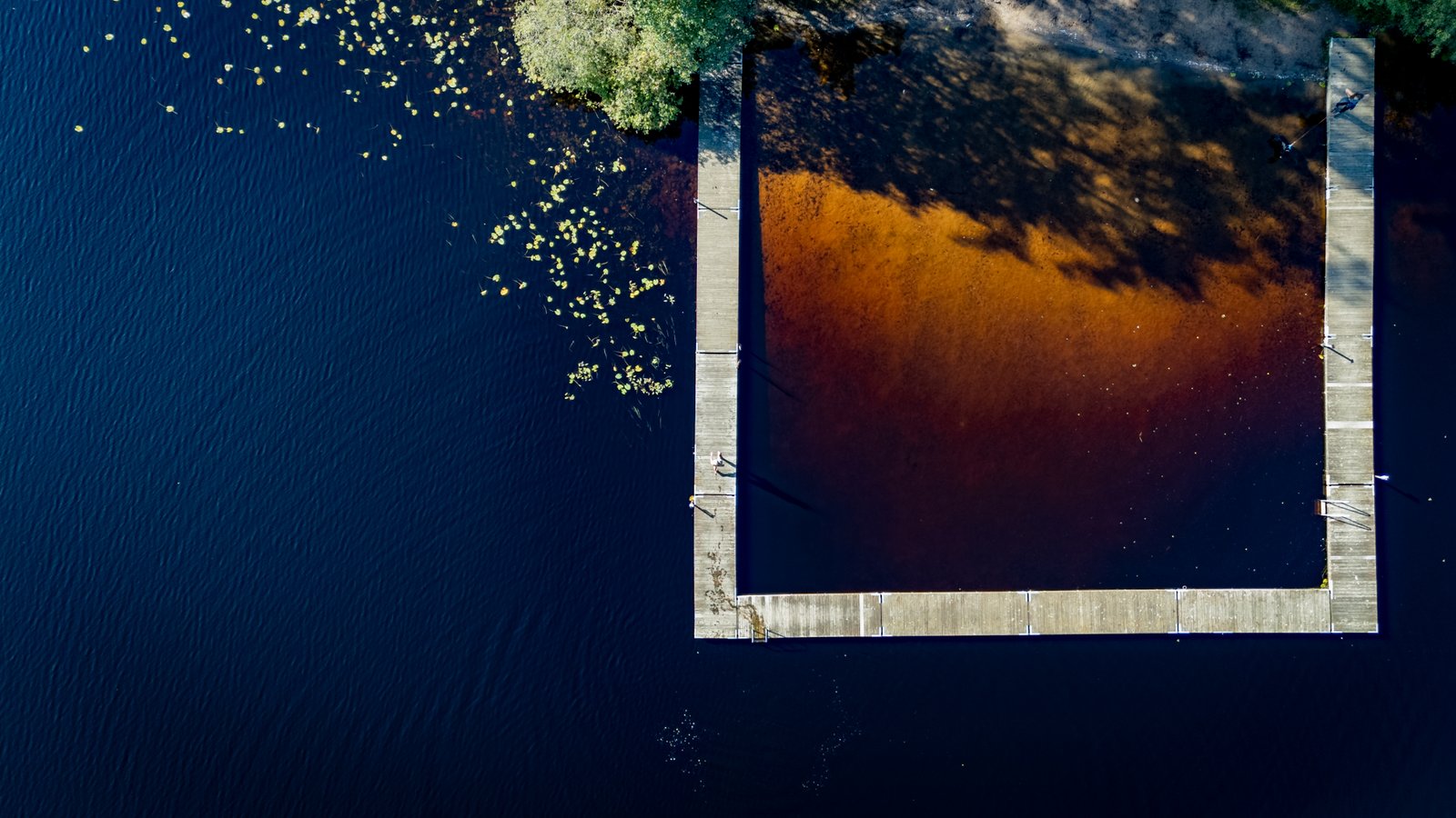 drönarfoto över badbryggan i ljungsjön