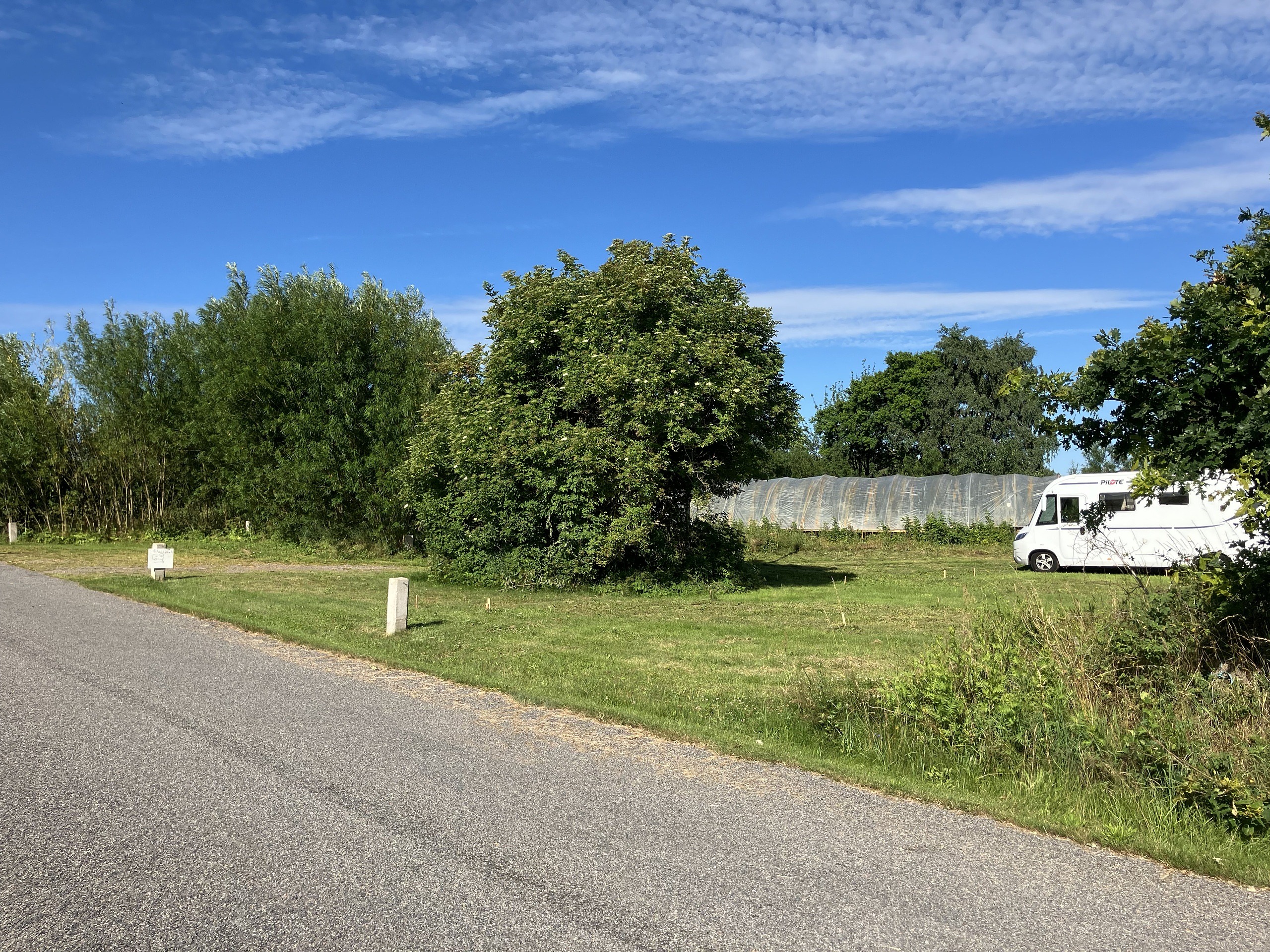 Ställplats med träd och en husbil
