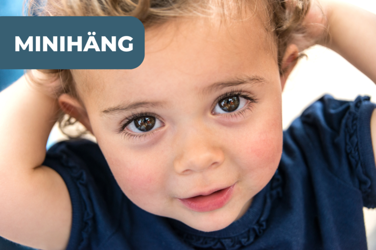 Minihäng