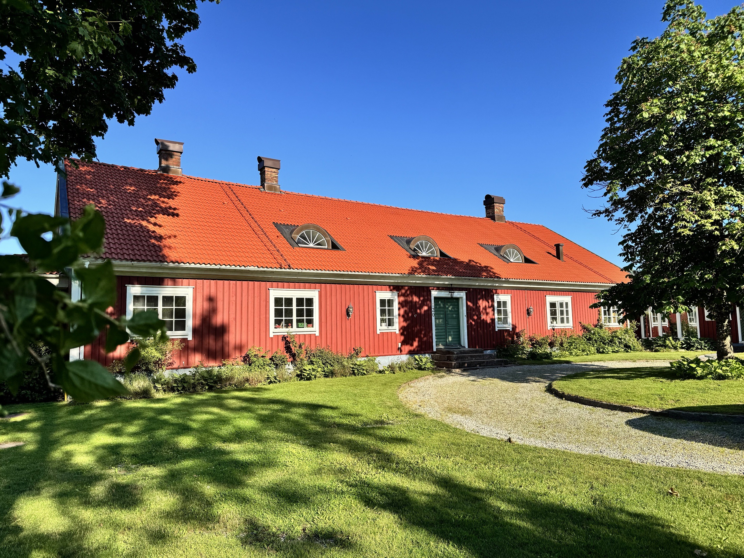En röd huslänga i grönska