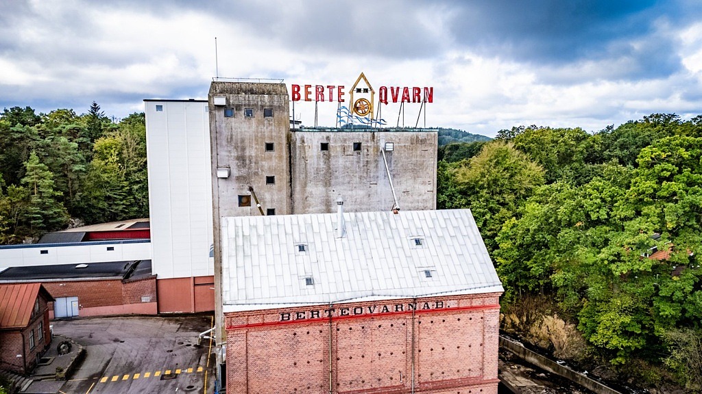 Berte Qvarn