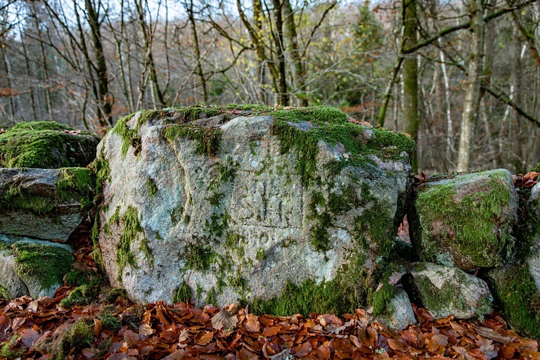 Fotovandring i Musåns naturreservat