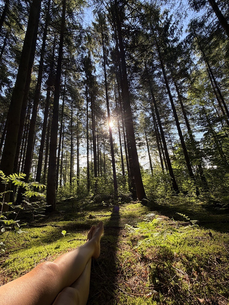 Skogsbad – En förmiddag i skogen med Shinrin-Yoku