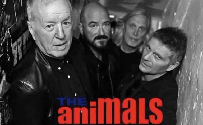 The Animals