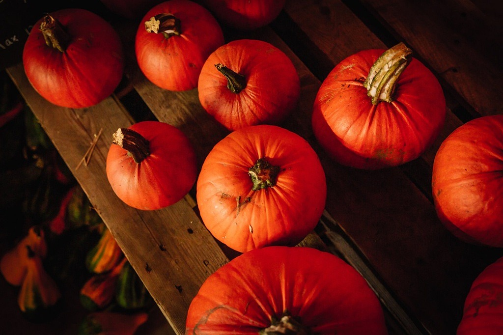 Halloween i Falkenberg