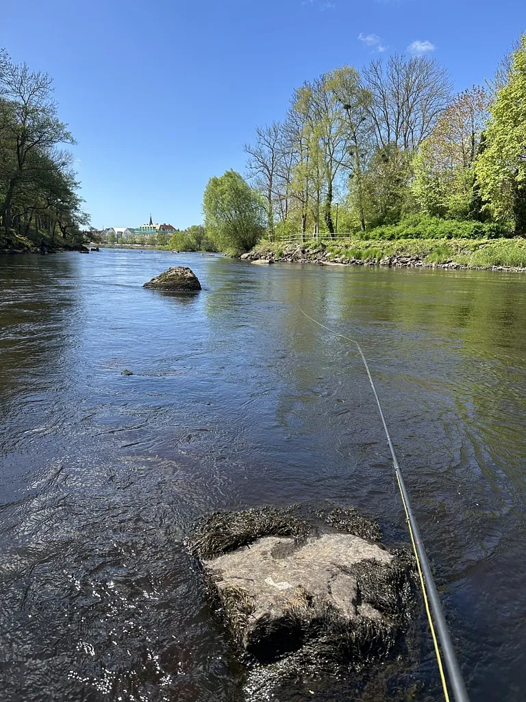 kidde fiskar
