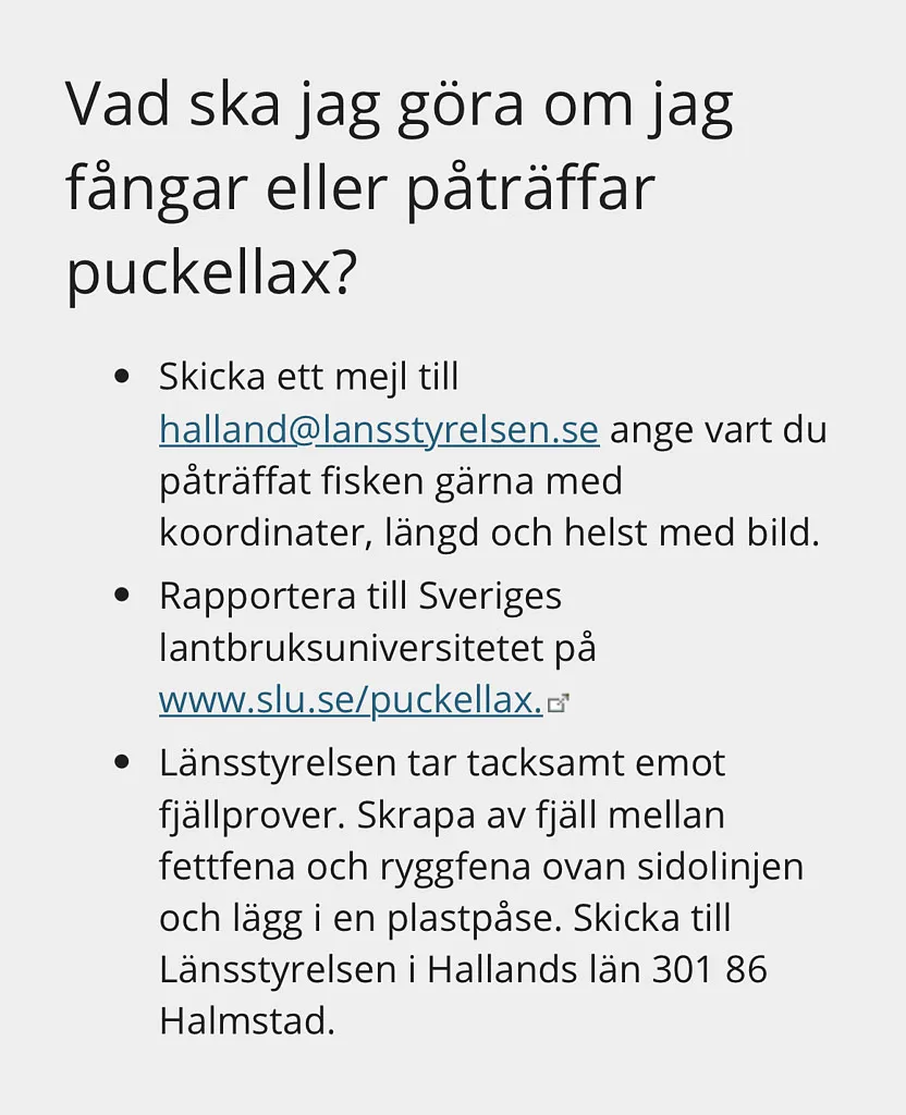 puckellax regler